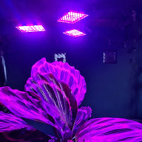 Thumbnail for Ariko LED Groeilamp - Kweeklamp - Groeilicht - Grow light - Planten groei
