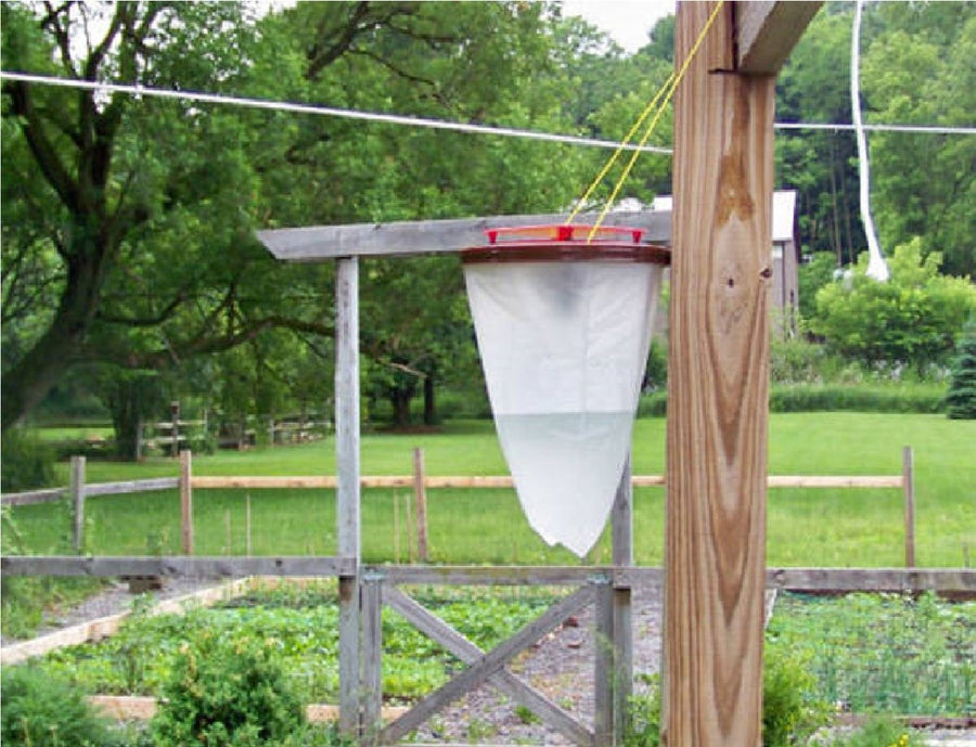 Ariko Insectenval - Vliegen Muggen & Wespen - Inclusief lokmiddel poeder - Bereik 15 meter - Eco-logisch - Zonder chemicaliën - 2 Stuks