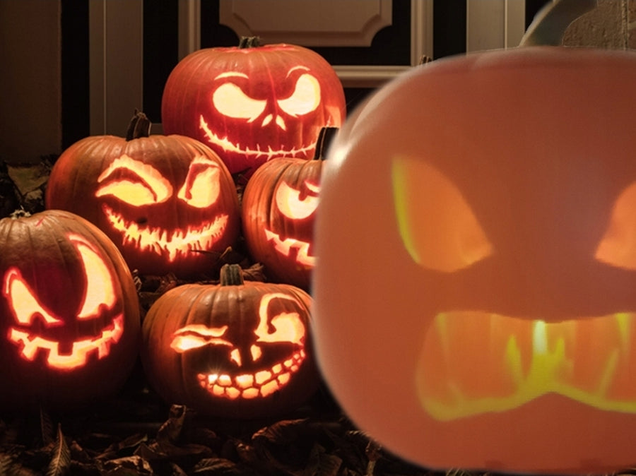 Ariko Geanimeerde Pompoen met Ingebouwde Projector & Speaker Plug'n Play - 70 Minuten Animatie - 3 Unieke Personages - 9 Liedjes - 40 Grappen - Oranje