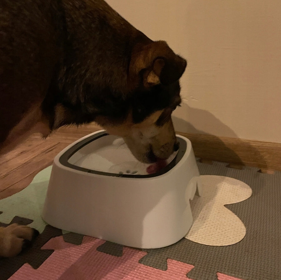 Ariko Drinkbak voor Huisdieren - Anti Lek en Spatvrij - Hygiënisch - Antislip - Vertraagd Drinken - Voorkomt Waterverontreiniging - Robuust - 1,5 Liter - Inclusief Opvouwbare Reisdrinkbakje