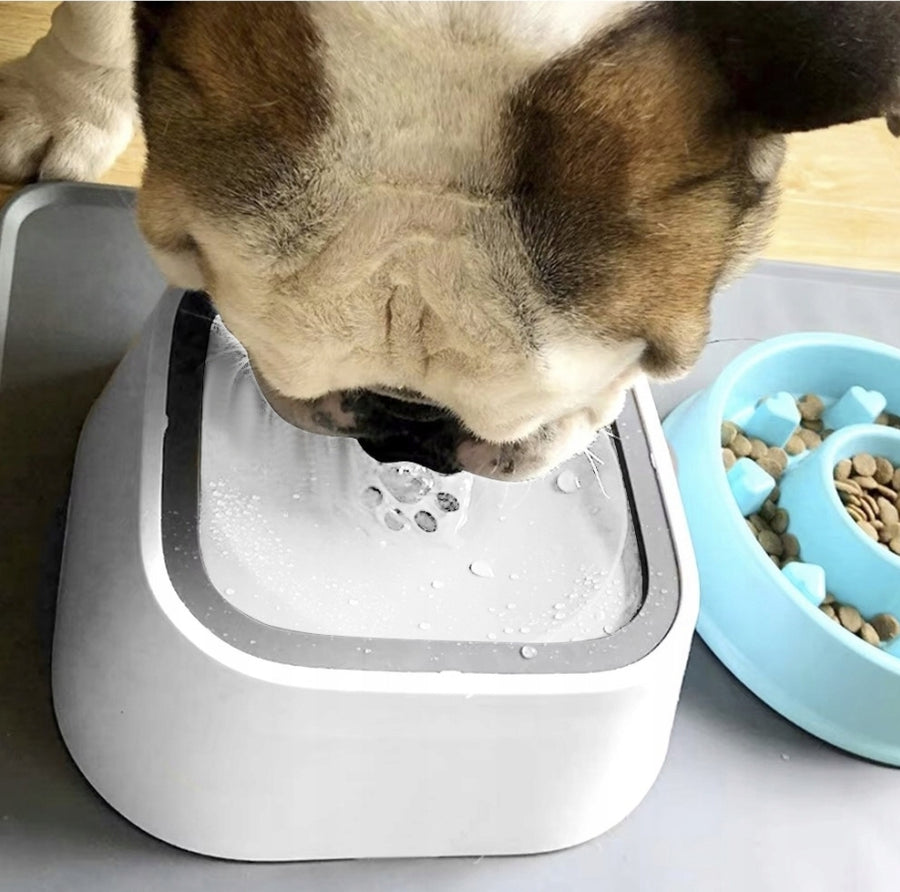 Ariko Drinkbak voor Huisdieren - Anti Lek en Spatvrij - Hygiënisch - Antislip - Vertraagd Drinken - Voorkomt Waterverontreiniging - Robuust - 1,5 Liter - Inclusief Opvouwbare Reisdrinkbakje