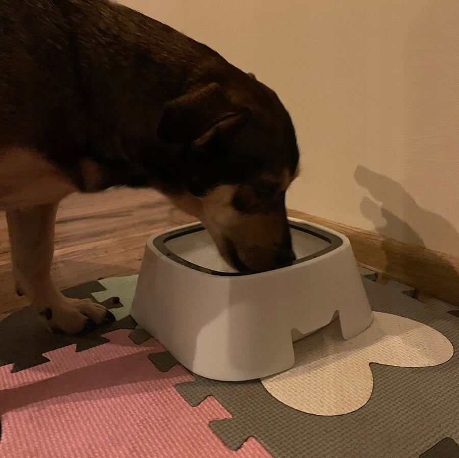 Ariko Drinkbak voor Huisdieren - Anti Lek en Spatvrij - Hygiënisch - Antislip - Vertraagd Drinken - Voorkomt Waterverontreiniging - Robuust - 1,5 Liter - Inclusief Opvouwbare Reisdrinkbakje