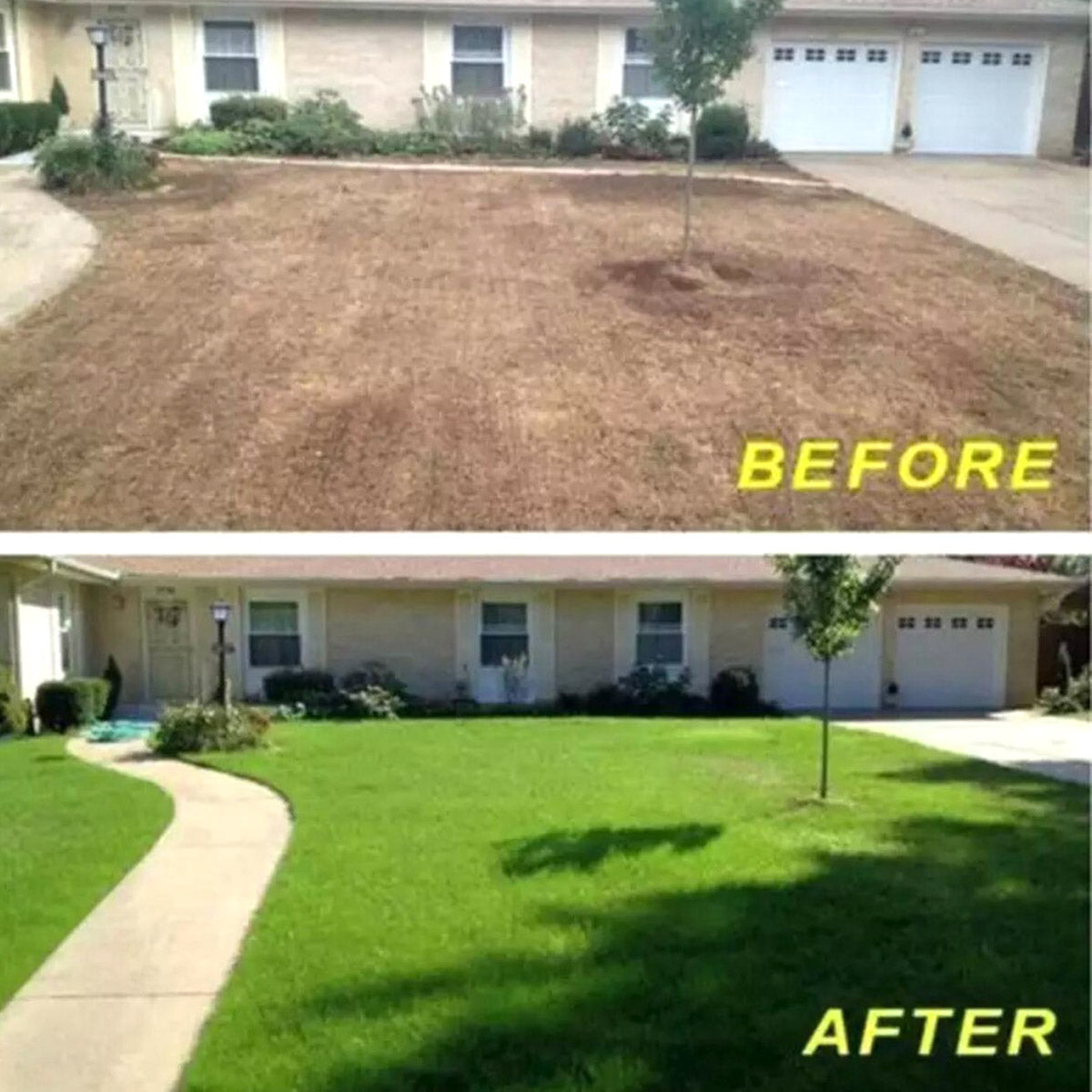 <tc>Ariko</tc> Grass seed roll - 3mx0.20m - Grass recovery - Grass construction - Grass repair - Very easy to use - Organic grass - Grass roll