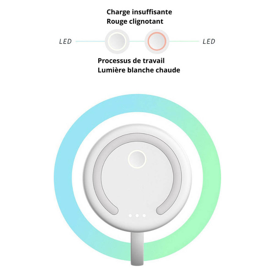Ariko Tragbarer Mixer – Mini-Mixer für unterwegs – Smoothie-Mixer – Babynahrung – Frische Säfte – 350 ml – Magnetisches USB-Ladegerät – Pink