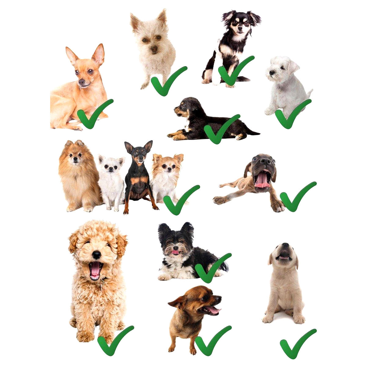 <tc>Ariko</tc> Siège auto chien/chat/chiot - siège pliable résistant à l'eau pour chien/chat - Siège animal pour la voiture - Panier pour chien - 40 x 40 x 25 cm - Y compris bol de nourriture pliable et brosse - Ceinture de sécurité - Voiture propre